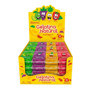 Gelatina Sabores Caixa com 16 Unidades de 45g Ritzmann